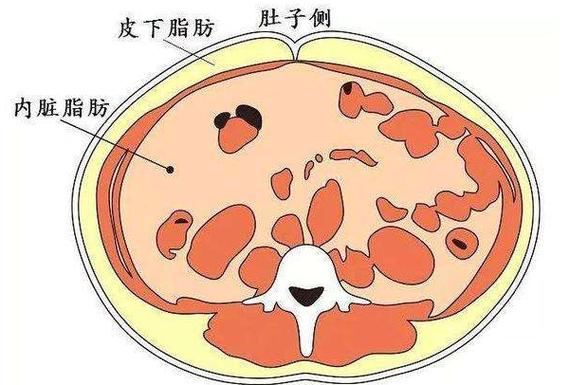 健康的脂肪食物