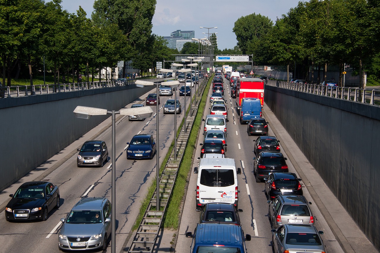 陈梦回应未来规划，梦想照亮前行的道路