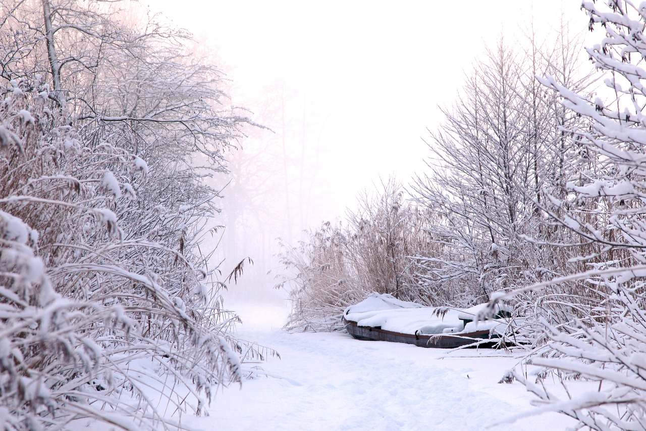 东北局地的雪，深至发紫的壮丽景象