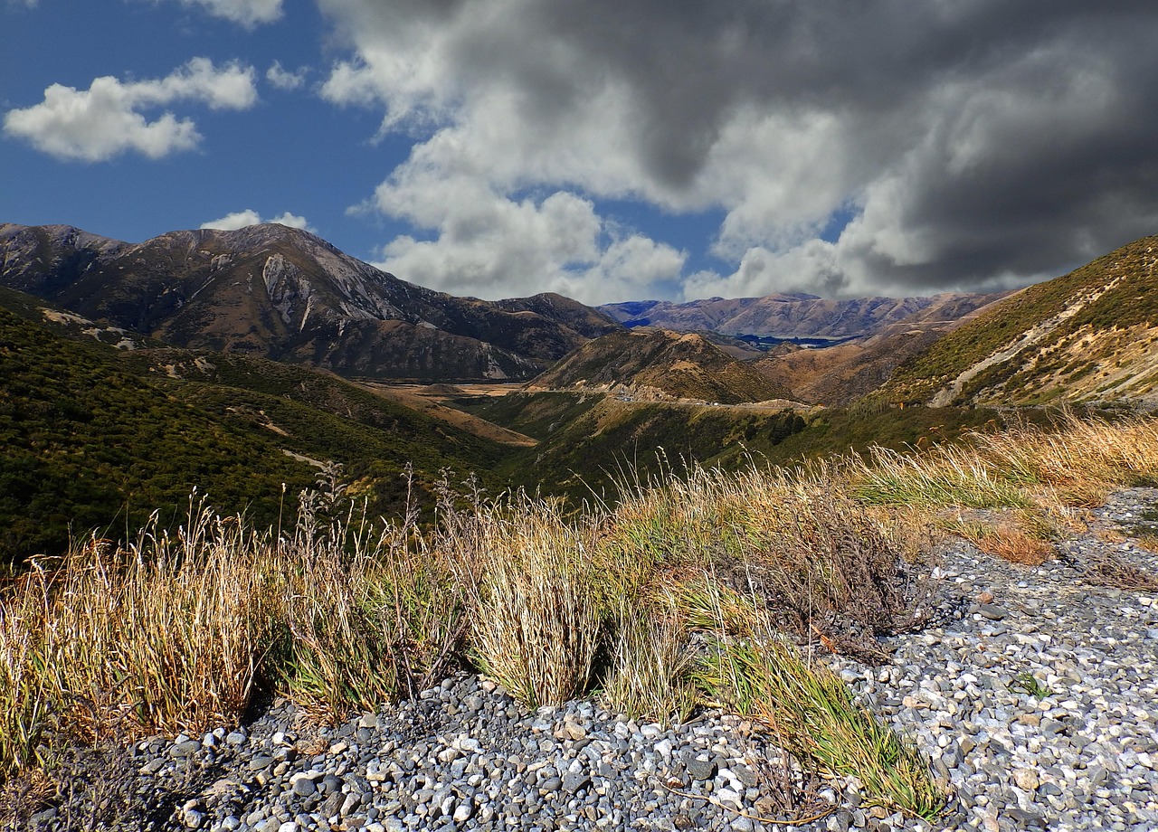 深度体验关山牧场之旅，探索自然之美，享受牧野之宿