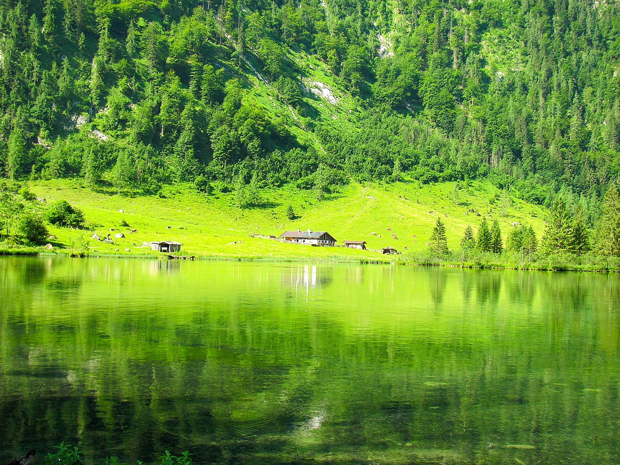 碧峰峡之旅，精心挑选你的理想住宿